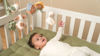 Bild von Musik Mobile Little Farm FSC