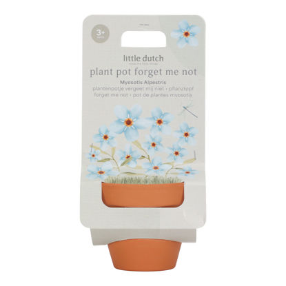 Bild von Little Dutch Pflanztopf Forget Me Not