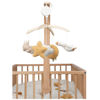 Bild von Musik mobil FSC Newborn