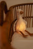 Bild von Sanftes Nachtlicht mit Geräuschen und Licht Baby Goose GRS Newborn