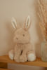 Bild von Kuscheltier Bunny Baby Bunny 15cm  GRS Newborn
