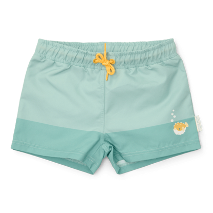 Bild von Swim trunks Seashells Surf Blue - 74/80