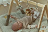Bild von Safari Friends - Babyspielbogen