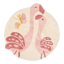 Bild von Teppich Flamingo - Rosa