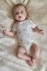 Bild von Newborn NOOS Safari Freunde Strampler kurzarm 68